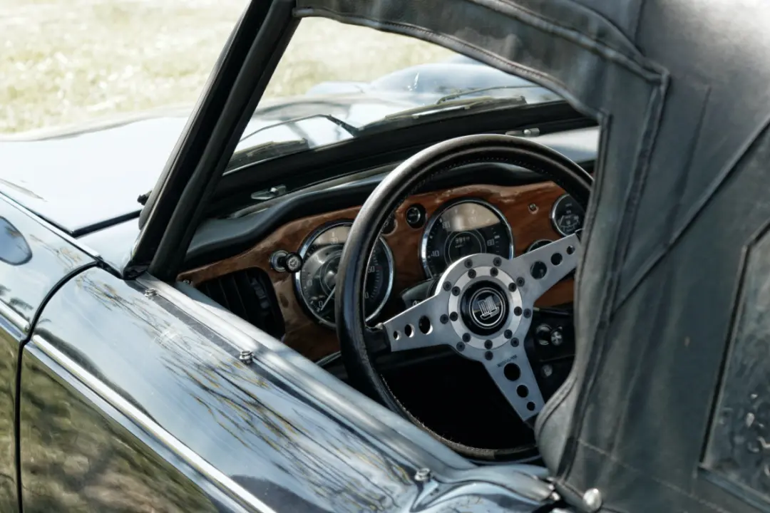 black-roof